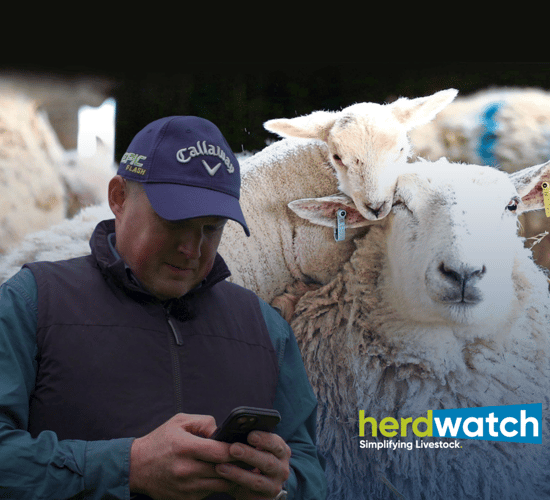 Simple way to get ready for your Bord Bia audit