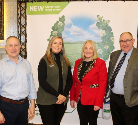 New clover-friendly herbicides on the way