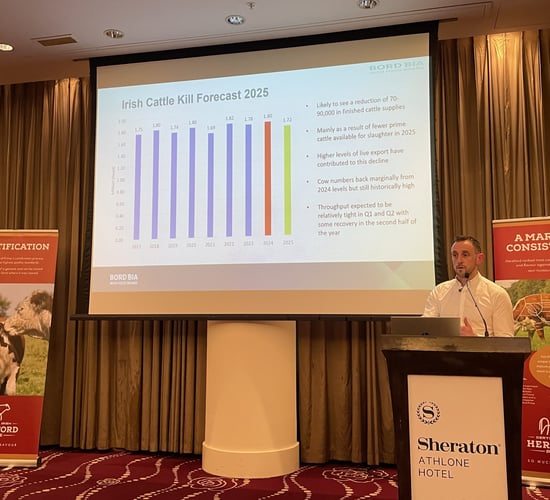 Farmers told of 'significant shortage of cattle in Europe'