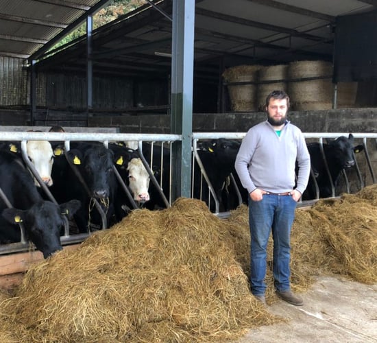 Calf match-making service a 'big win' for Meath beef farm