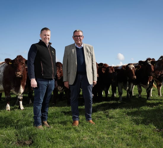 Two native breeds to feature in on-farm pedigree sale