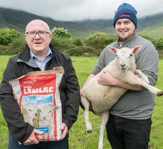 'Milk replacer has never been so effective'- Waterford farmer