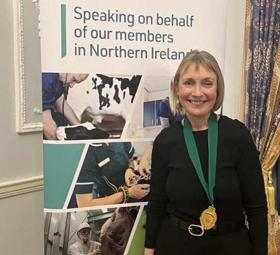 Kirsten Dunbar elected president of BVA NI and NIVA