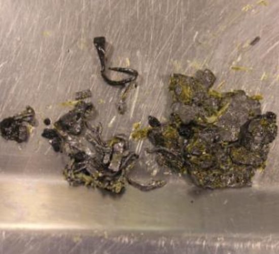 Department renews lead poisoning warning as animals turned out