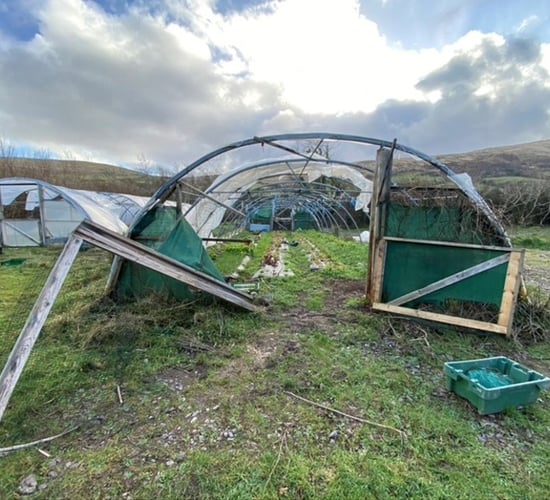 Small growers hit by storm damage say scheme 'falls far short'