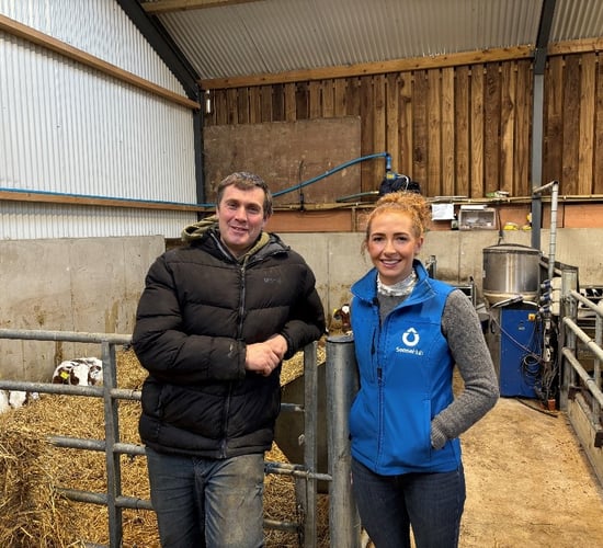 Wexford farmer sees benefits of Youngstock Monitoring Technology