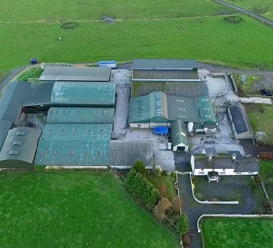 Tullow dairy and farm guide price set at €1.2m