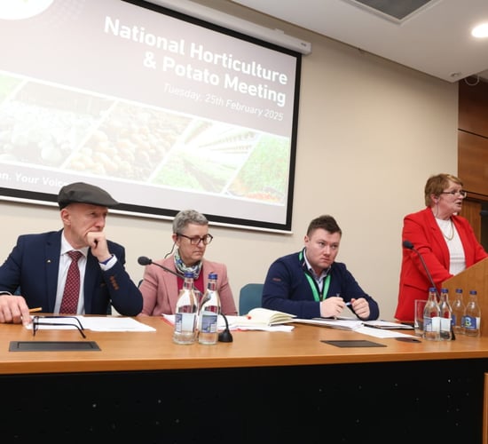 Horticulture sector risks 'contraction' unless change happens - Doyle