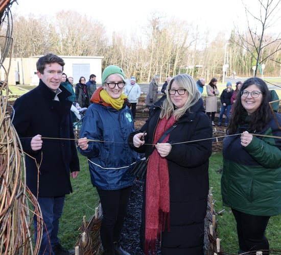 University of Galway launches Pocket Forest mini-woodland project