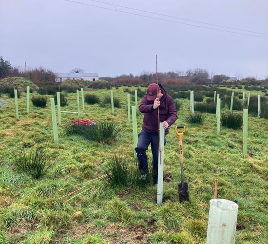 Kerry social enterprise aims to grow 100,000 trees by 2030