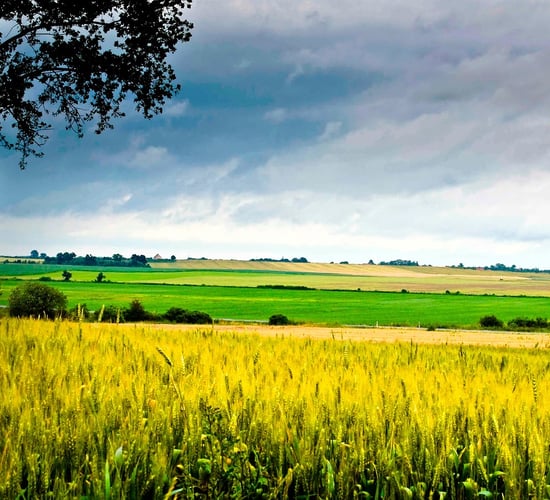 TD: Will 'measures' be introduced to reduce sale of farm land to non-farmers?