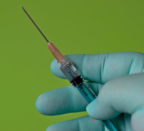 NI vets urge UK government to clarify access to medicines - BVA