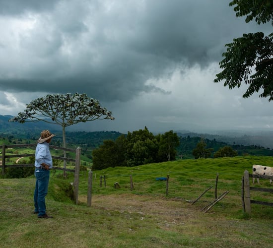 Commission: €99m allocated to farmers impacted by 'climatic events'
