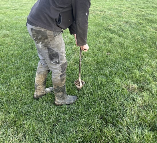 Is soil fertility on farms holding back growth rates?