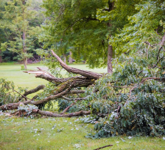 Total cost of storm could reach €200m - Insurance Ireland