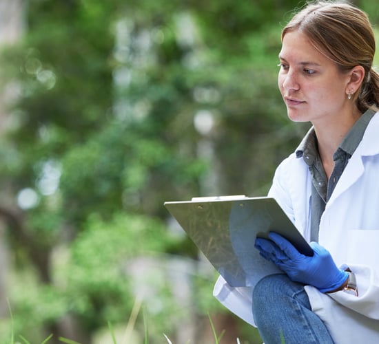 Ash dieback research among new projects to secure share of €14.5m EPA funding