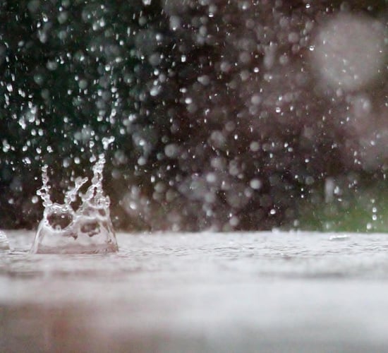 Weather update: Status Yellow wind and rainfall warning issued
