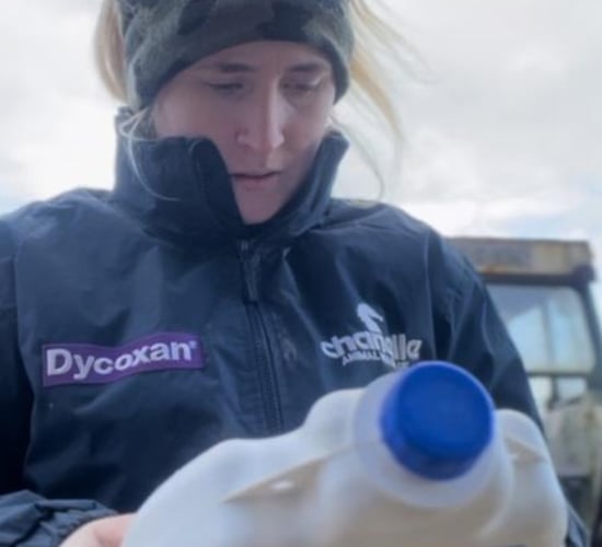 How a Cork farmer boosted lamb performance