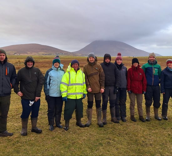 Farmers join project to reverse wader population decline on Achill