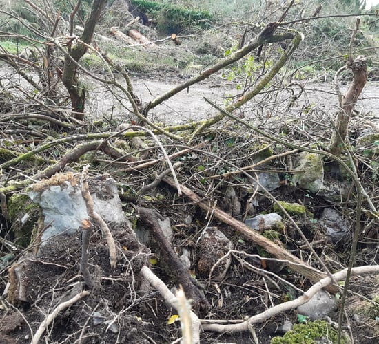 Farmer claims he was left without a fence by Coillte after Éowyn