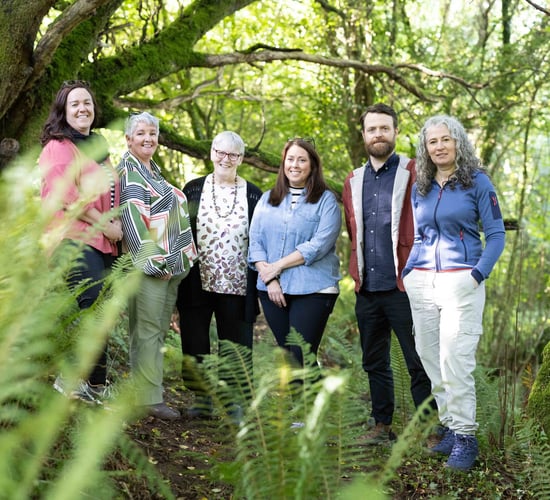 Clare forest to be 'anti-monument' to cervical check scandal