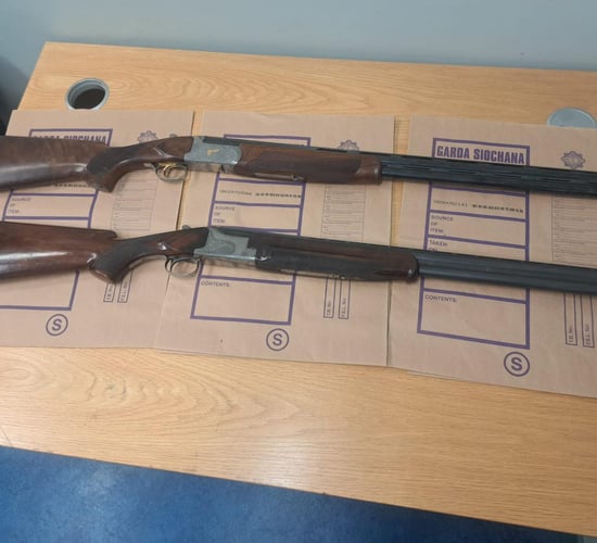 12 firearms seized in north Wexford for expired/invalid licences