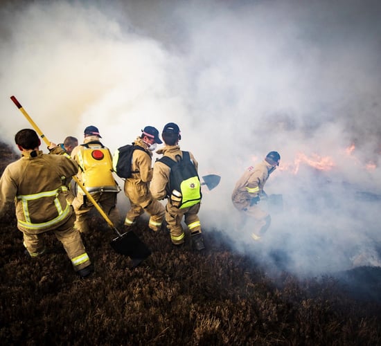 Gorse fire in Mourne Mountains believed to be deliberate