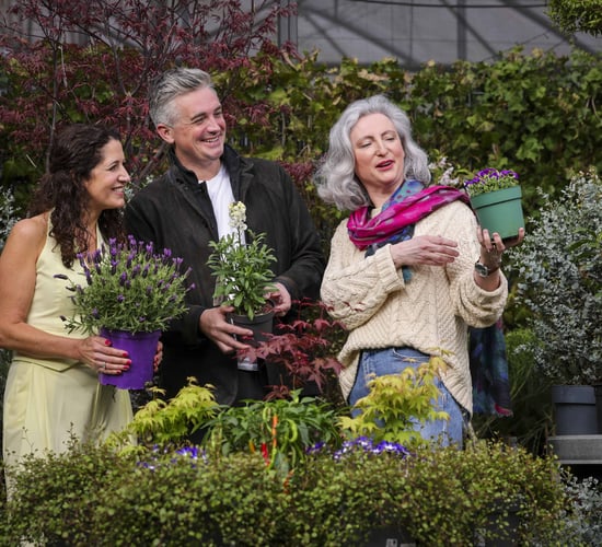Final line up of guests announced for Bord Bia Bloom 2025