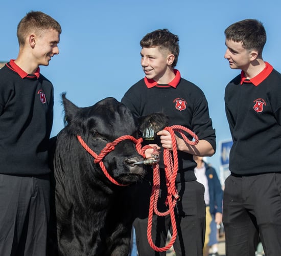 Irish students set to discuss sustainable farming in Brussels