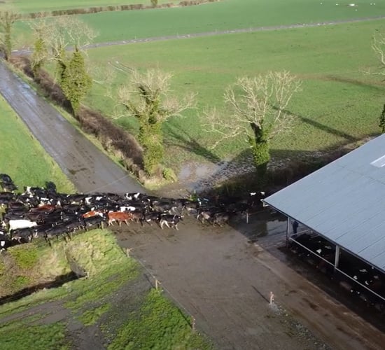 Watch now - Farming for the Future: A sustainable future