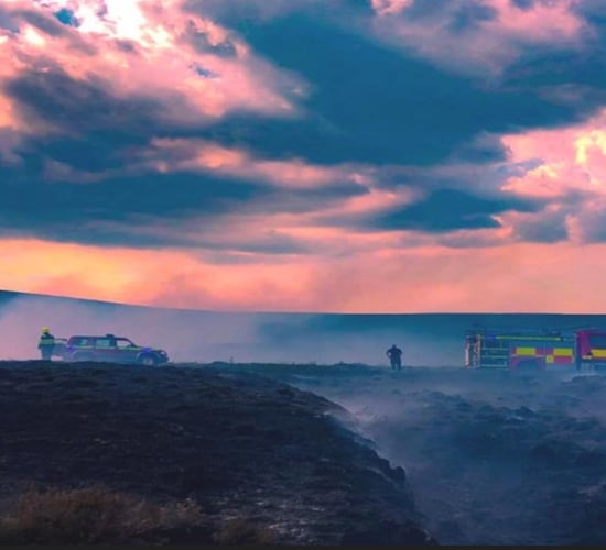 Multi-agency exercise to simulate wildfire in Wicklow