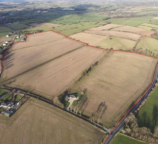 'Dream farm' Wexford land sells for more than €30k/ac
