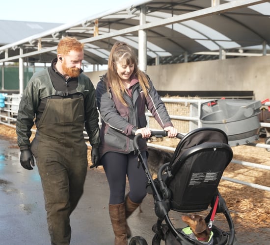 Family at heart of award-winning Meath dairy farm