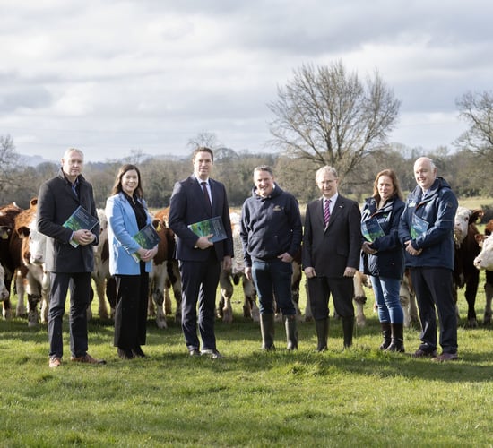 Report recommends central hub for organic producer organisations