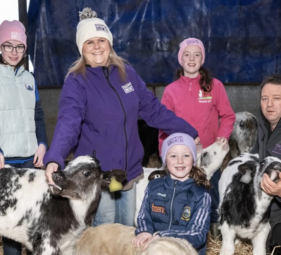Tipperary dairy farmer raises 'happiest, healthy calves'