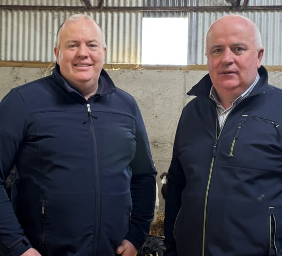 Tipperary farmers' calf pneumonia strategy brings peace of mind