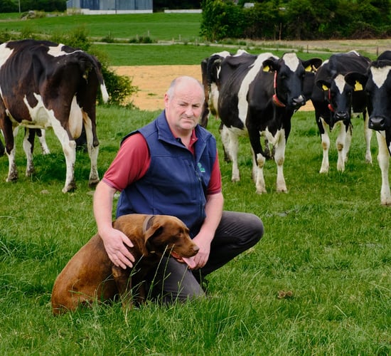 Scheme eligibility criteria too 'narrow' for 'Forgotten Farmers' - ICMSA