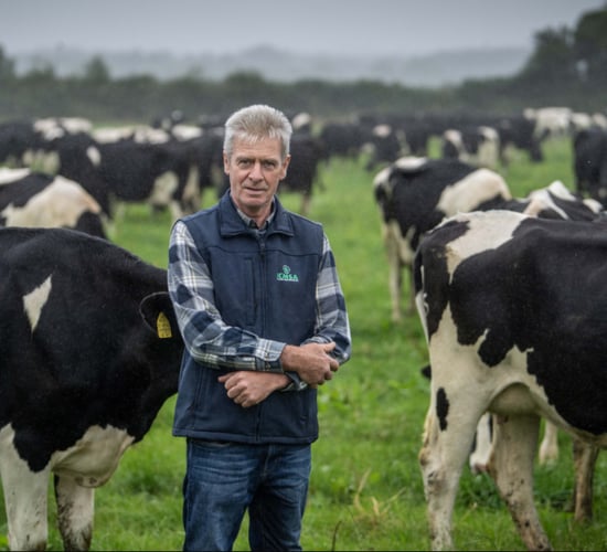 Co-ops should be paying 50c/L base price for February milk - ICMSA