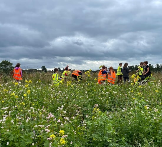 Limerick's Doon Social Farm in growth mode