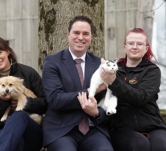 2025 funding programme for animal welfare opens