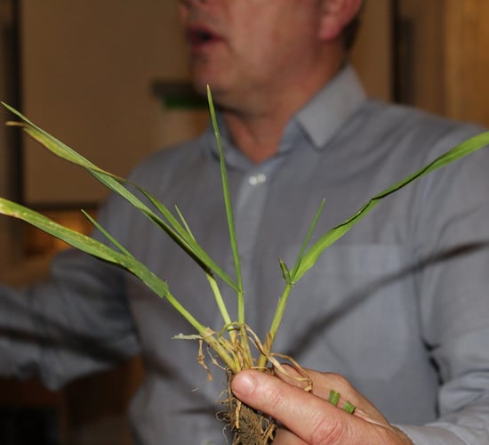 What is the best nitrogen programme for winter barley crops?