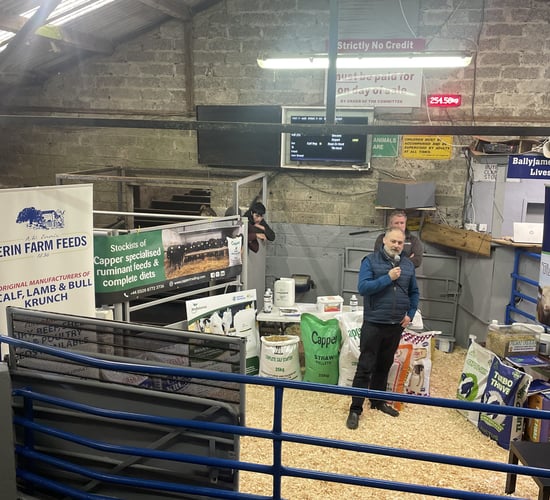 'Most efficient weight gain on an animal is at the calf stage'
