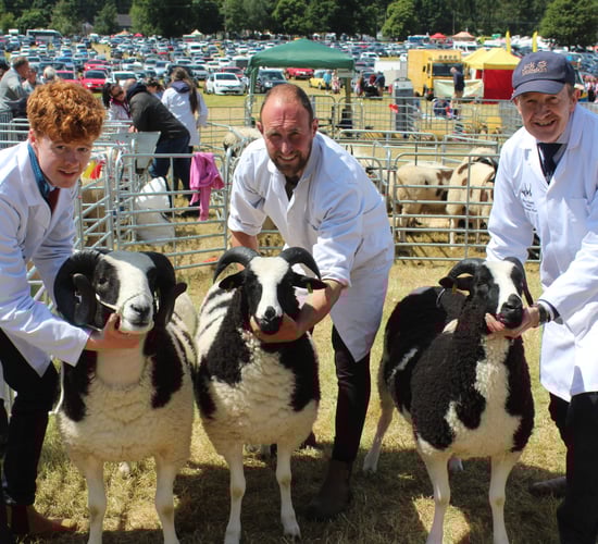 Armagh Show recorded largest visitor number ever last year