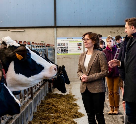 EU food sector is dependent 'on healthy soils and water' - commissioner