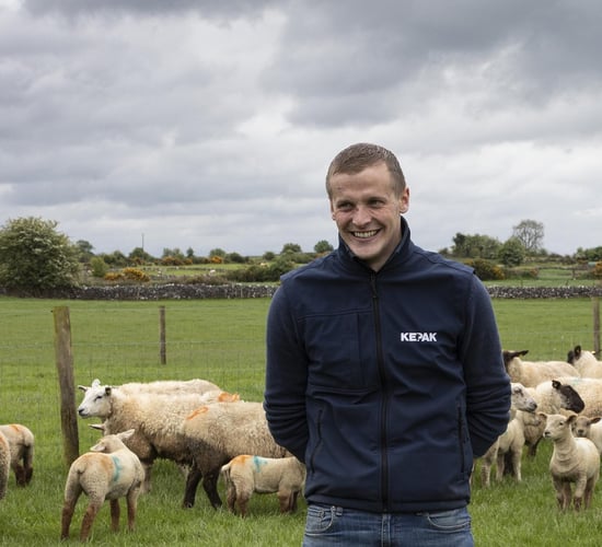 Applications open for Kepak Young Sheep Farmer Forum
