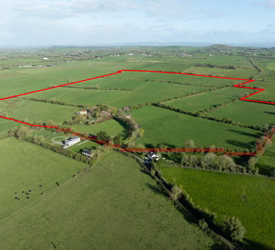 Number of farms sold last year rose by 8% - REA land survey