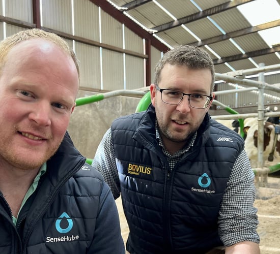 'Fertility is profitability' technology has transformed Armagh farm