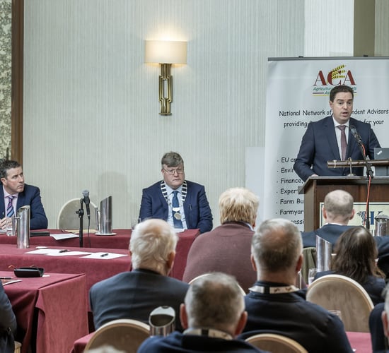 Watch: Minister doesn't foresee annual 'manual fix' for ACRES