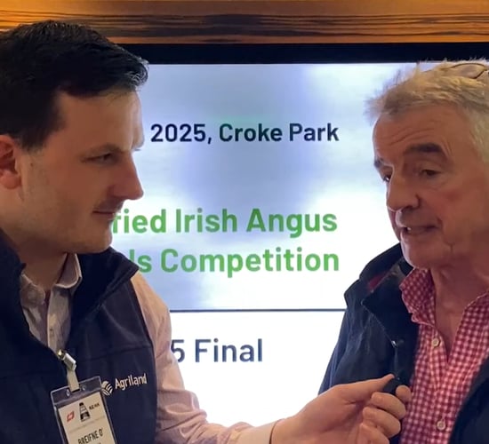 Watch: 'Full-time beef farmer and part-time airline CEO' - O'Leary