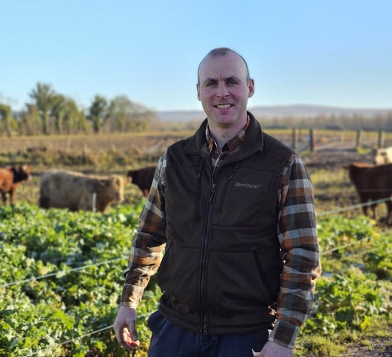 'We will be the last generation to know' dry stone walls - senator
